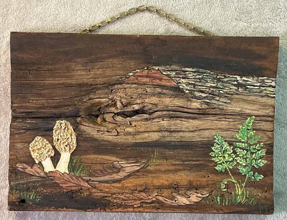 Wood Wall Art Mushroom Painting and Stone Owls